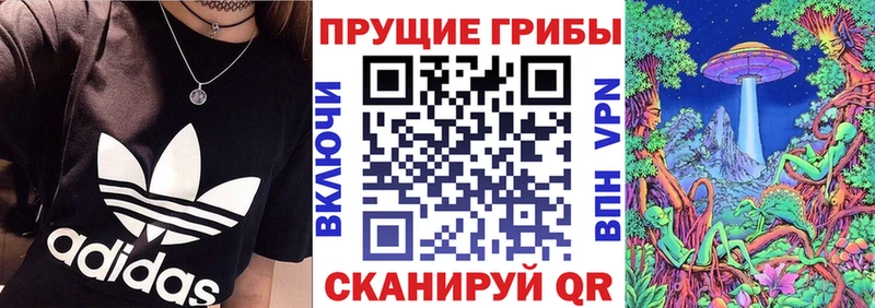 Галлюциногенные грибы Cubensis  Красноярск 
